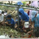 금원산자연휴양림 이미지