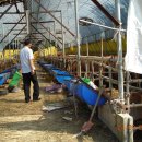 현암목장 이미지