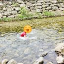 베일리코티지