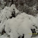 무지개횟집 이미지