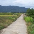 들길 따라서 이미지