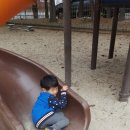승지어린이공원 Daum카페