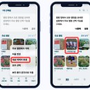 스마트터치교실 이미지