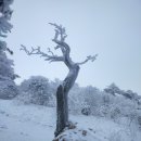 작업 사례 산남 푸르지오, 산남 부영사랑으로, 산남 대원, 산남 퀸덤, 산남 유승한내들, 산남 계룡리슈빌