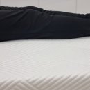 홈사피엔스