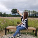 가조온천 | 부산출발 1일 가을여행 코스｜감악산·수승대·가조온천단지 후기