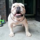 스테이 후 이미지