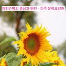 파주운정요양원 네이버블로그