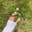 [후기] 셀프스튜디오 추천, 비유어셀프스튜디오(원본 무료, 40분 촬영!!)