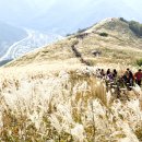 민둥산운동장 1 이미지