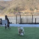 보리다방 이미지