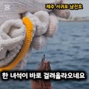 제주 서귀포 쇠소깍 | 🎣 제주 서귀포 쇠소깍 배낚시 체험 후기 – 남진호