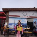 처음 타본 스키 이미지