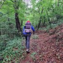 밤실목장 이미지