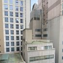모텔베네 | (에비앙을 주는 잠실 신상호텔)_잠실배네관광호텔