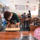 진낙지마당 이미지