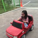 대호카랜드 이미지