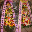 강진북초등학교 이미지