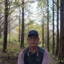 양평 서후리숲 (2022.10.29) - 3인회 이미지