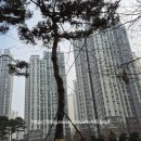 하늘별빛로 한라비발디아파트 이미지