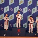 라이온스태권도 이미지