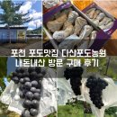 다산농원 | 포천 포도의 명가 다산 포도농원 내돈내산 방문후기