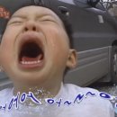 한라산게스트하우스 이미지