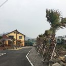 아만토브 이미지