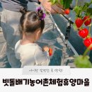 빗돌배기농어촌체험휴양마을 | [창원 아이랑 갈만한 곳] 빗돌배기농어촌체험휴양마을 (경남 딸기체험, 부산근교 농촌체험)