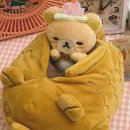 아폴로세탁소 이미지