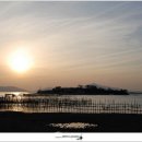 남해편백자연휴양림(남해) 이미지