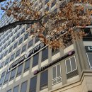 마음톡의원 | 미라클여성의원 산전검사 결과 정자검사 후기 및 과배란약 처방