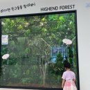 주차48 | 하이엔소아과, 42개월~48개월 6차 영유아검진 후기 (주차, 입원, 야간진료)