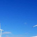 화이트목장 이미지