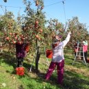 전일농장 이미지