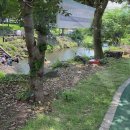 솜반내(솜반천) 이미지