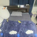 대성전기 | 캠핑용 전기장판 후기 탄소매트 전기매트 대성쎌틱 가정용 후기!