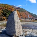 아우라지 출렁다리 이미지