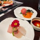 셰프스키친 이미지