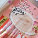 챠오챠오 | 🐾챠오츄르 후기 | 쿠키가 제일 좋아하는 고양이 간식