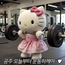 햄보케 이미지