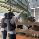 BK승마랜드 네이버블로그