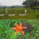 삼종사