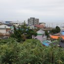 구룡포 미르아라 이미지