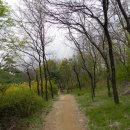 비석골근린공원 이미지