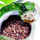 베트남커피원두 추천 송마리커피집 헤일로빈 산미없는 맛있는원두 홈카페 후기 ☕