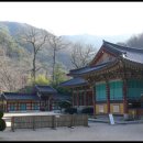 6/24[토]양산 천성산 비로봉과 내원사계곡 내원사(블야100+)-산행안내/좌석표 이미지