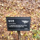 경기도 수원시 권선구 권중로120번길 17 이미지