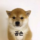 어라