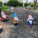 전북특별자치도교육청순창도서관 이미지